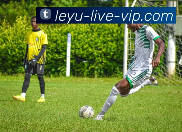 乐鱼体育发展历程